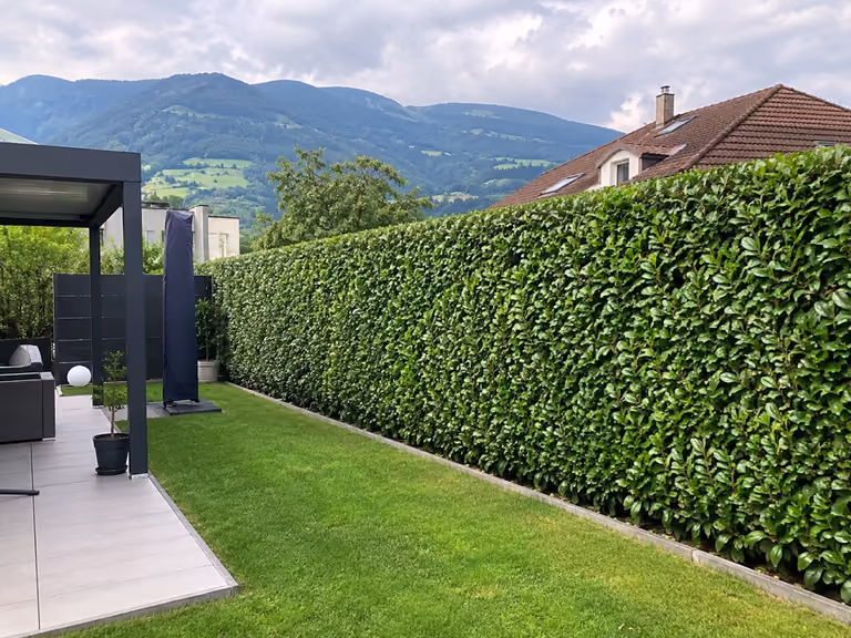 Gepflegte Terrasse und Hecke in der Steiermark